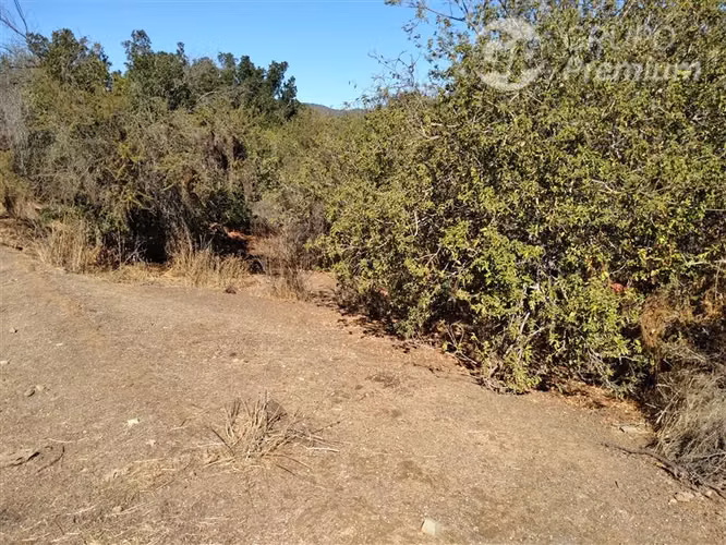 Parcela en venta en condominio Los Quillayes Quilpué