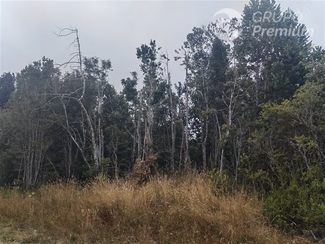Parcela en venta en Fresia