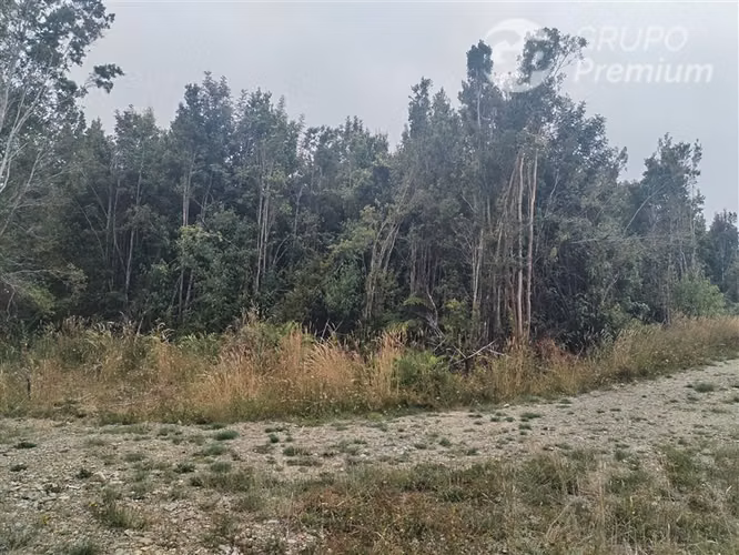 Parcela en venta en Fresia