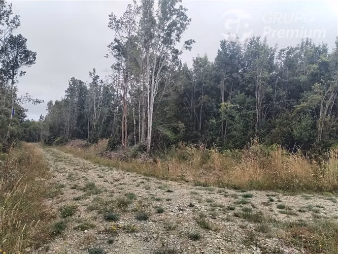 Parcela en venta en Fresia