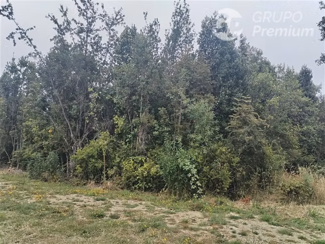 Parcela en venta en Fresia