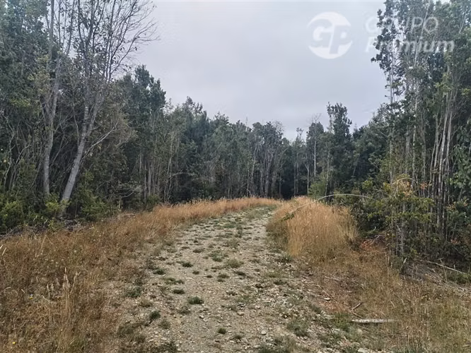Parcela en venta en Fresia