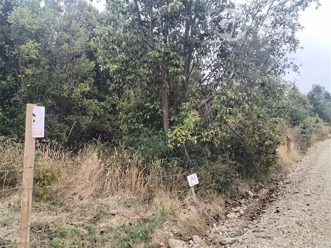Parcela en venta en Fresia