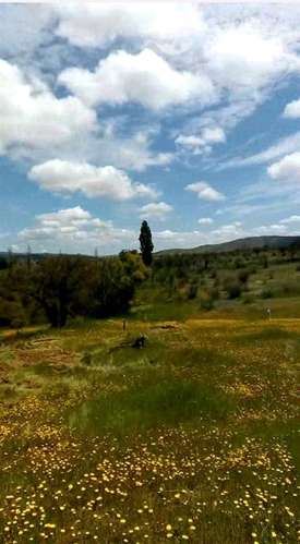 Parcela en arriendo en San Javier