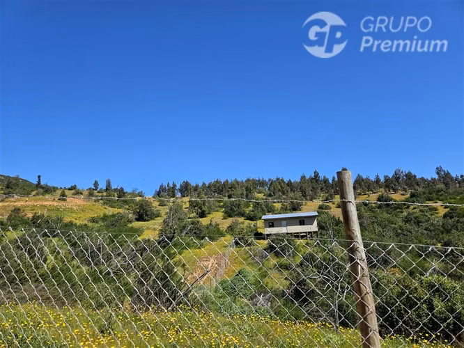 Venta 2 Hermosas Parcelas 7.000 M2 C/U Pumanque R. OHIGGINS