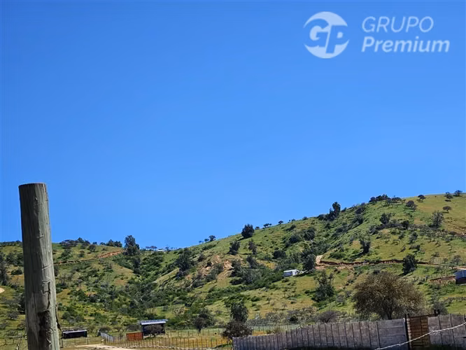 Venta 2 Hermosas Parcelas 7.000 M2 C/U Pumanque R. OHIGGINS
