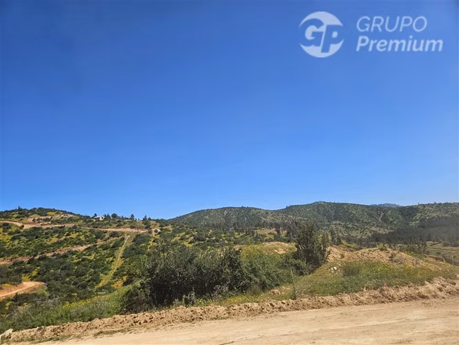 Venta 2 Hermosas Parcelas 7.000 M2 C/U Pumanque R. OHIGGINS