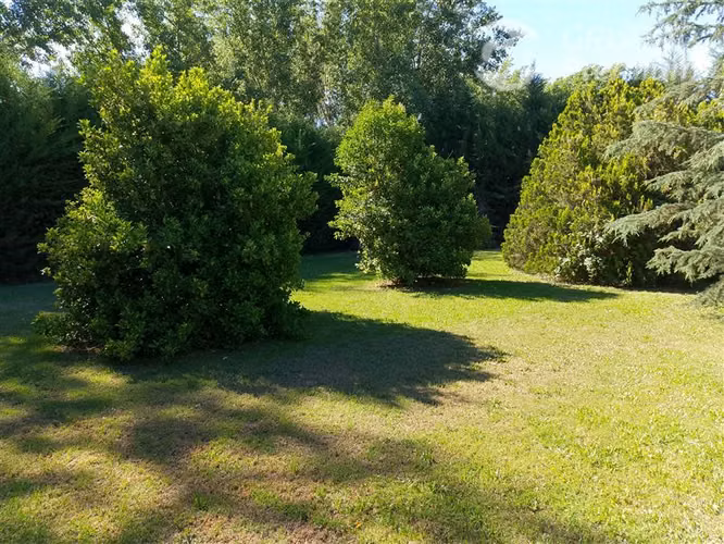 Venta parcela Pirque 5000m2 417m2 const 5D 8B 2suit quincho