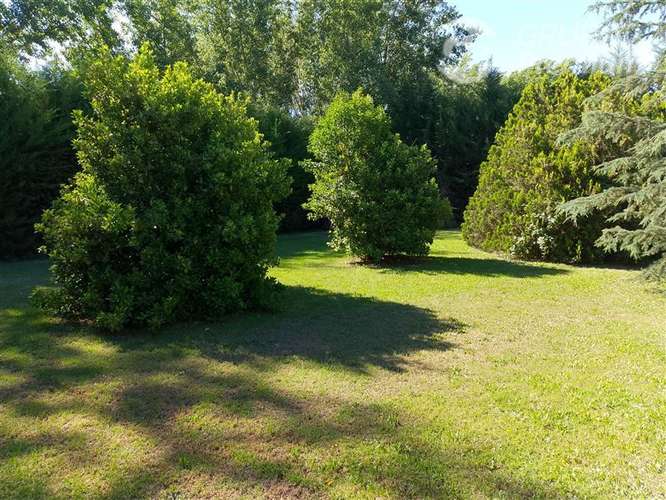 Venta parcela Pirque 5000m2 417m2 const 5D 8B 2suit quincho - Imagen 23
