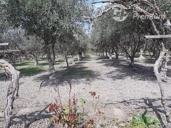 Parcela en venta en Melipilla - Imagen 17