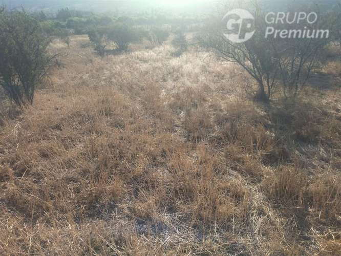Venta terreno Salamanca camino asfaltado