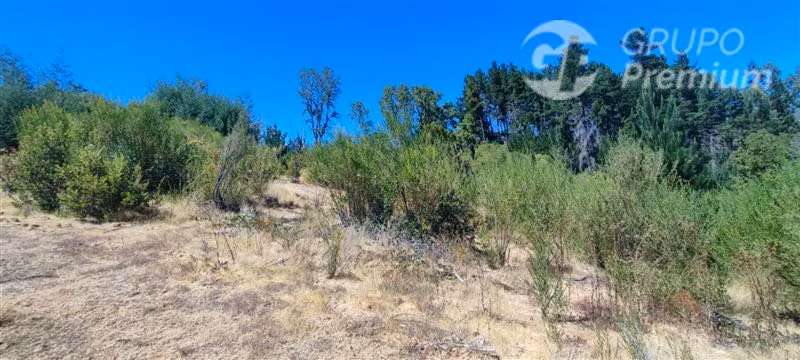 Sitio en venta en sector Puente 7 Florida