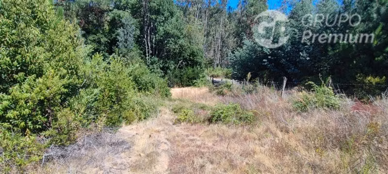 Sitio en venta en sector Puente 7 Florida