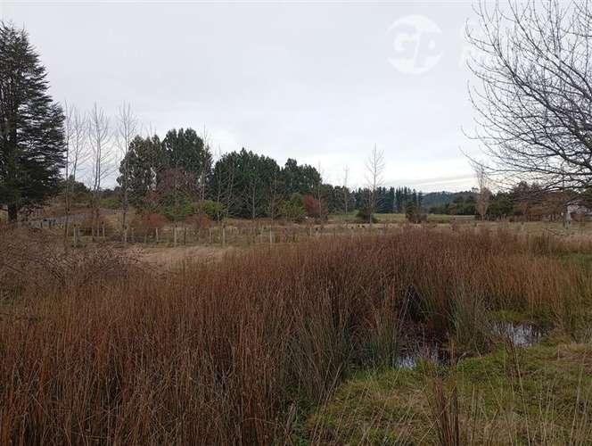 Parcela en venta en Río Bueno