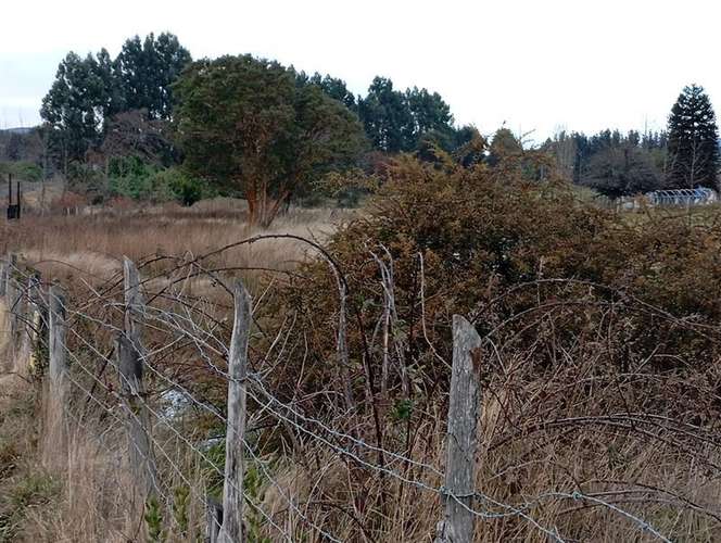 Parcela en venta en Río Bueno