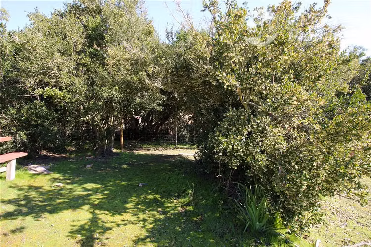 Terreno de 10 Hé en Colliguay: inversión, descanso y rural