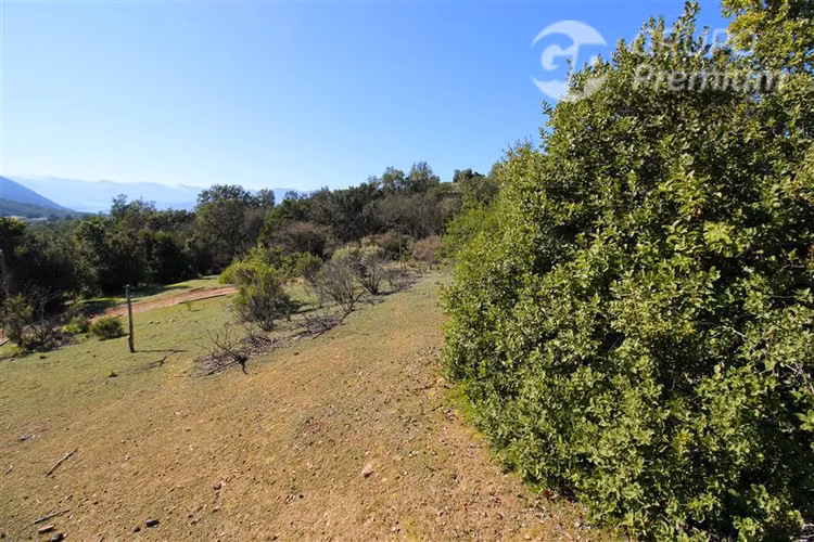 Terreno de 10 Hé en Colliguay: inversión, descanso y rural