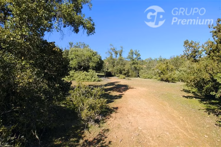 Terreno de 10 Hé en Colliguay: inversión, descanso y rural