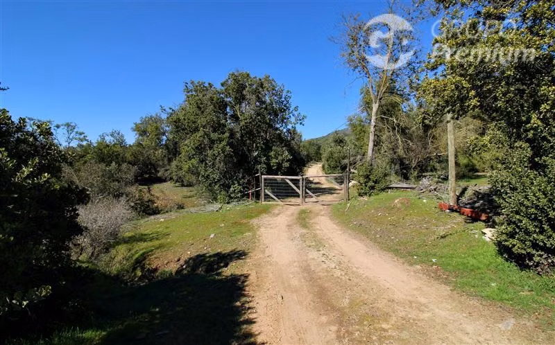 Terreno de 10 Hé en Colliguay: inversión, descanso y rural