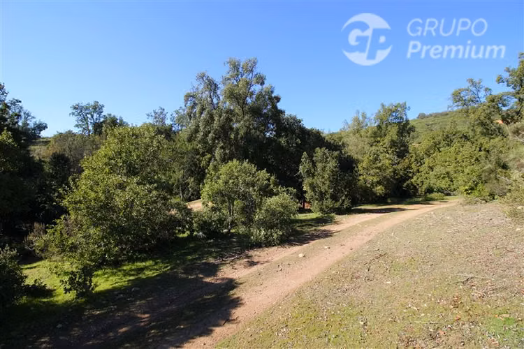 Terreno de 10 Hé en Colliguay: inversión, descanso y rural