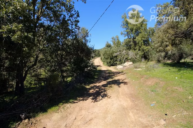 Terreno de 10 Hé en Colliguay: inversión, descanso y rural