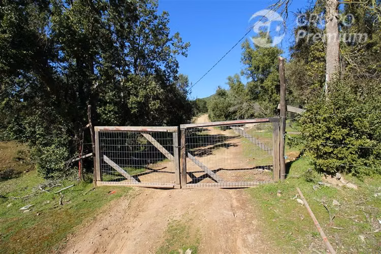 Terreno de 10 Hé en Colliguay: inversión, descanso y rural