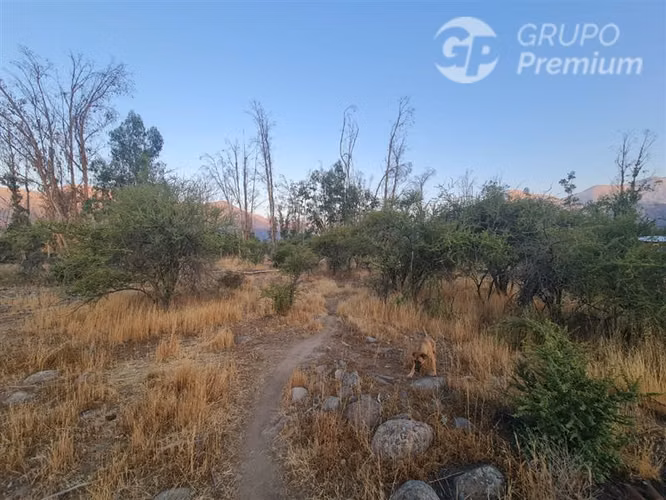 Venta terreno 5169 m2 comuna Pirque 2997 uf con empalme elec