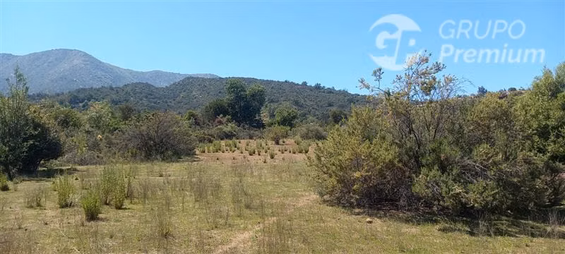 Parcela ideal para proyecto Ecoturismo en venta en Olmué