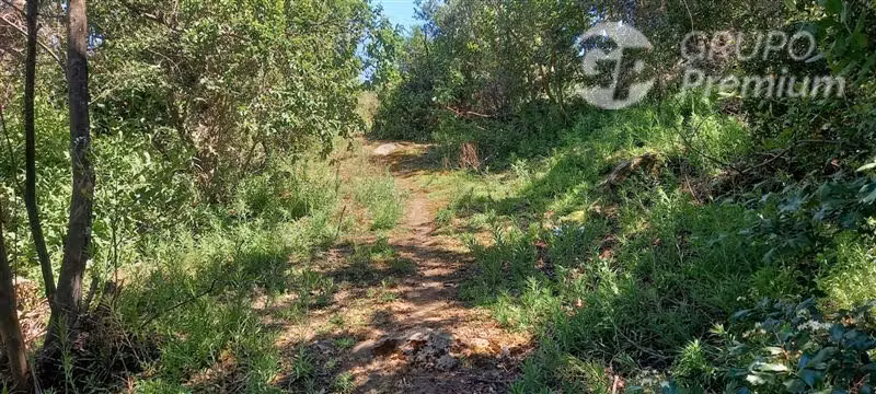 Parcela ideal para proyecto Ecoturismo en venta en Olmué