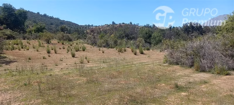 Parcela ideal para proyecto Ecoturismo en venta en Olmué