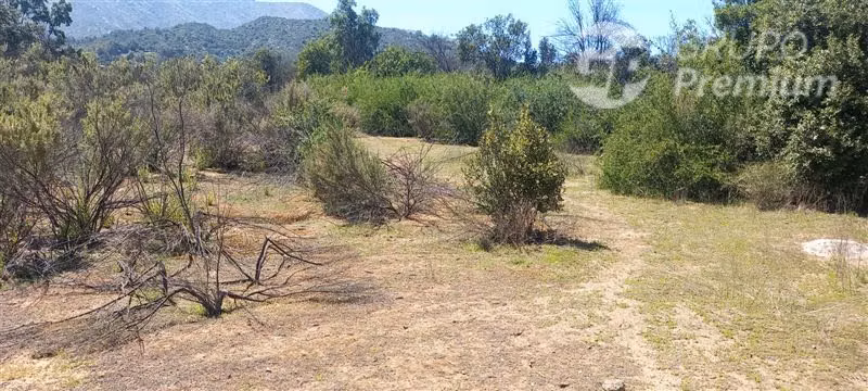 Parcela ideal para proyecto Ecoturismo en venta en Olmué