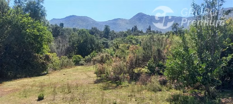 Parcela ideal para proyecto Ecoturismo en venta en Olmué