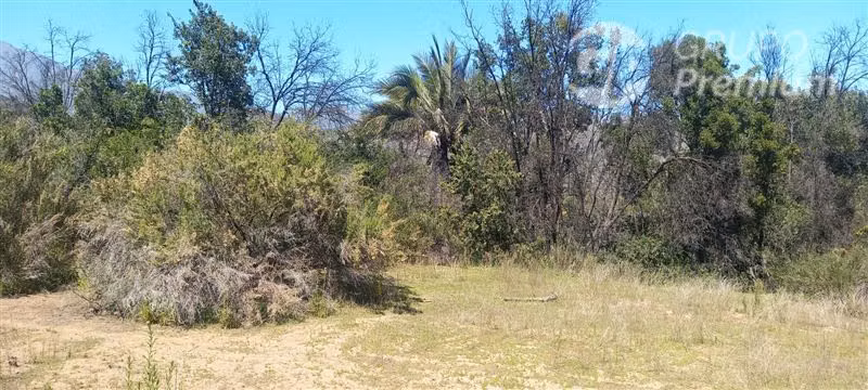 Parcela ideal para proyecto Ecoturismo en venta en Olmué