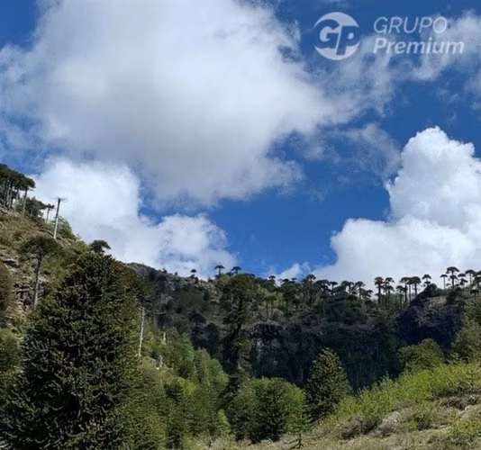 VENTA DE TERRENO 131 HA, EN MELIPEUCO UN PARAISO NATURAL