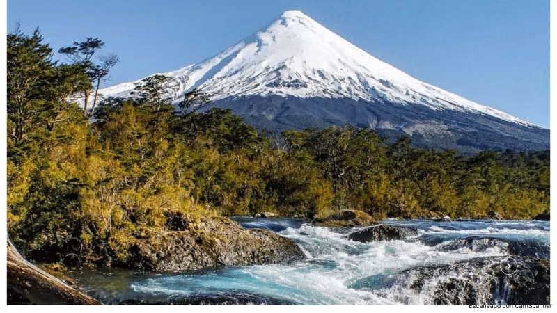 VENTA DE TERRENO 131 HA, EN MELIPEUCO UN PARAISO NATURAL