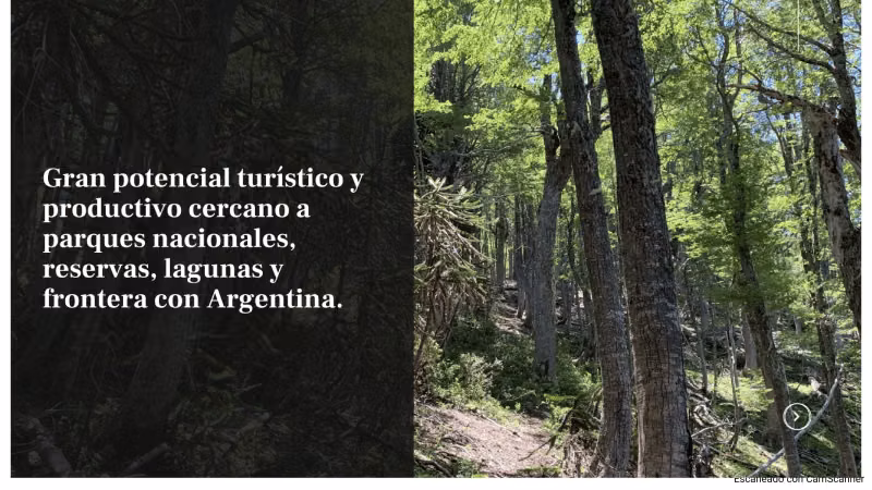 VENTA DE TERRENO 131 HA, EN MELIPEUCO UN PARAISO NATURAL