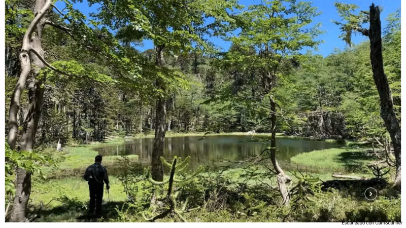 VENTA DE TERRENO 131 HA, EN MELIPEUCO UN PARAISO NATURAL