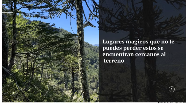 VENTA DE TERRENO 131 HA, EN MELIPEUCO UN PARAISO NATURAL
