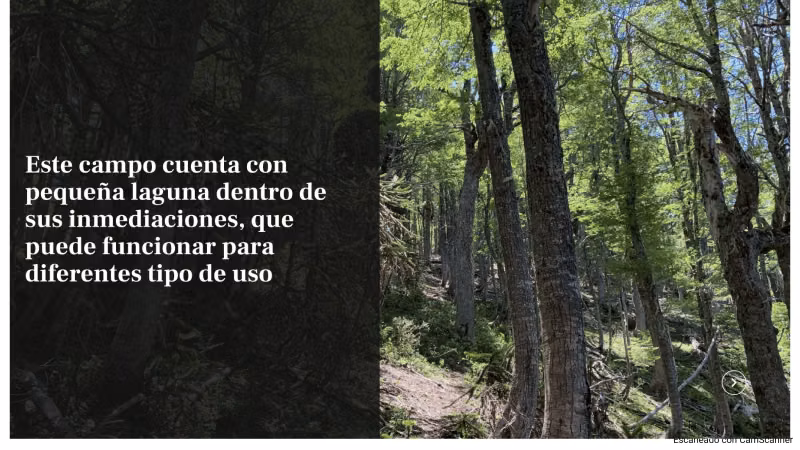 VENTA DE TERRENO 131 HA, EN MELIPEUCO UN PARAISO NATURAL