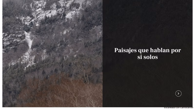 VENTA DE TERRENO 131 HA, EN MELIPEUCO UN PARAISO NATURAL