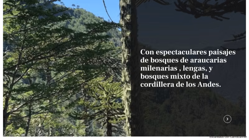 VENTA DE TERRENO 131 HA, EN MELIPEUCO UN PARAISO NATURAL