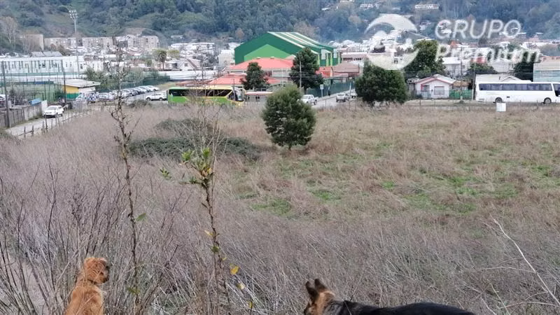 Sitio en venta en Concepción