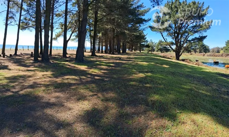 Parcela en venta Orilla de playa en Arauco