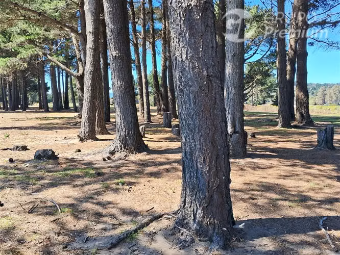 Parcela en venta Orilla de playa en Arauco