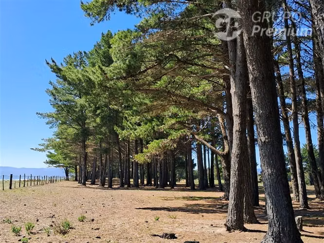 Parcela en venta Orilla de playa en Arauco