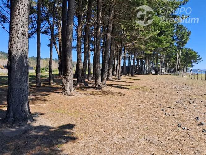 Parcela en venta Orilla de playa en Arauco