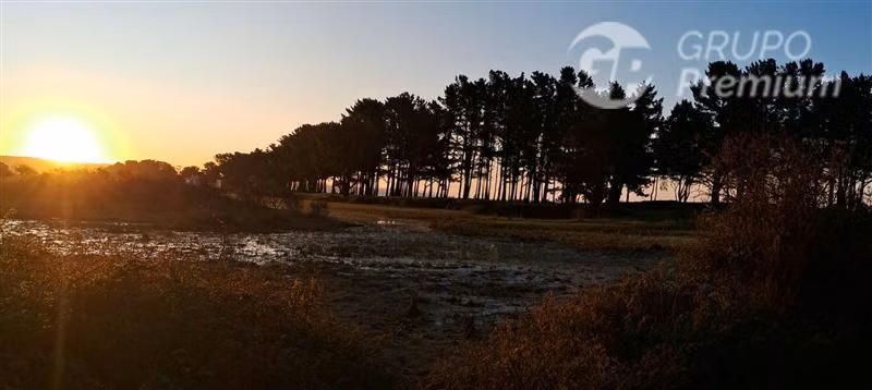 Parcela en venta Orilla de playa en Arauco