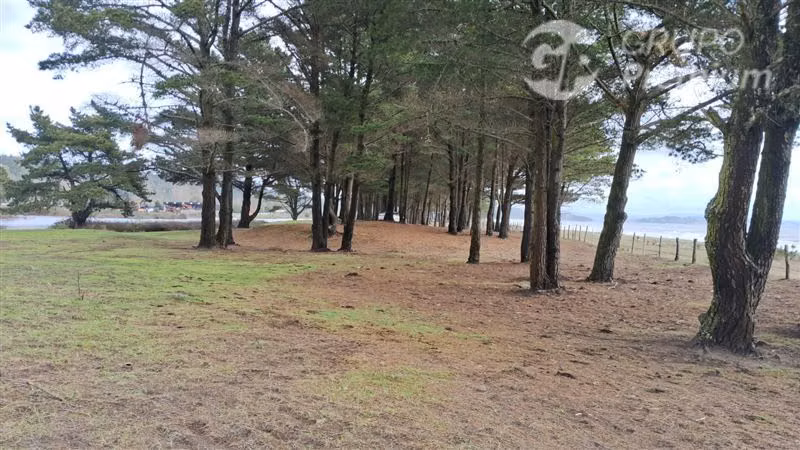 Parcela en venta Orilla de playa en Arauco