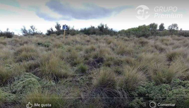 Oportunidad Venta de Parcela en las Praderas de Lonquimay - Imagen 3