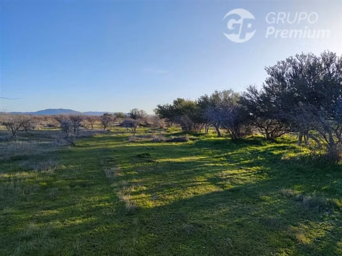Sitio en venta en Cauquenes